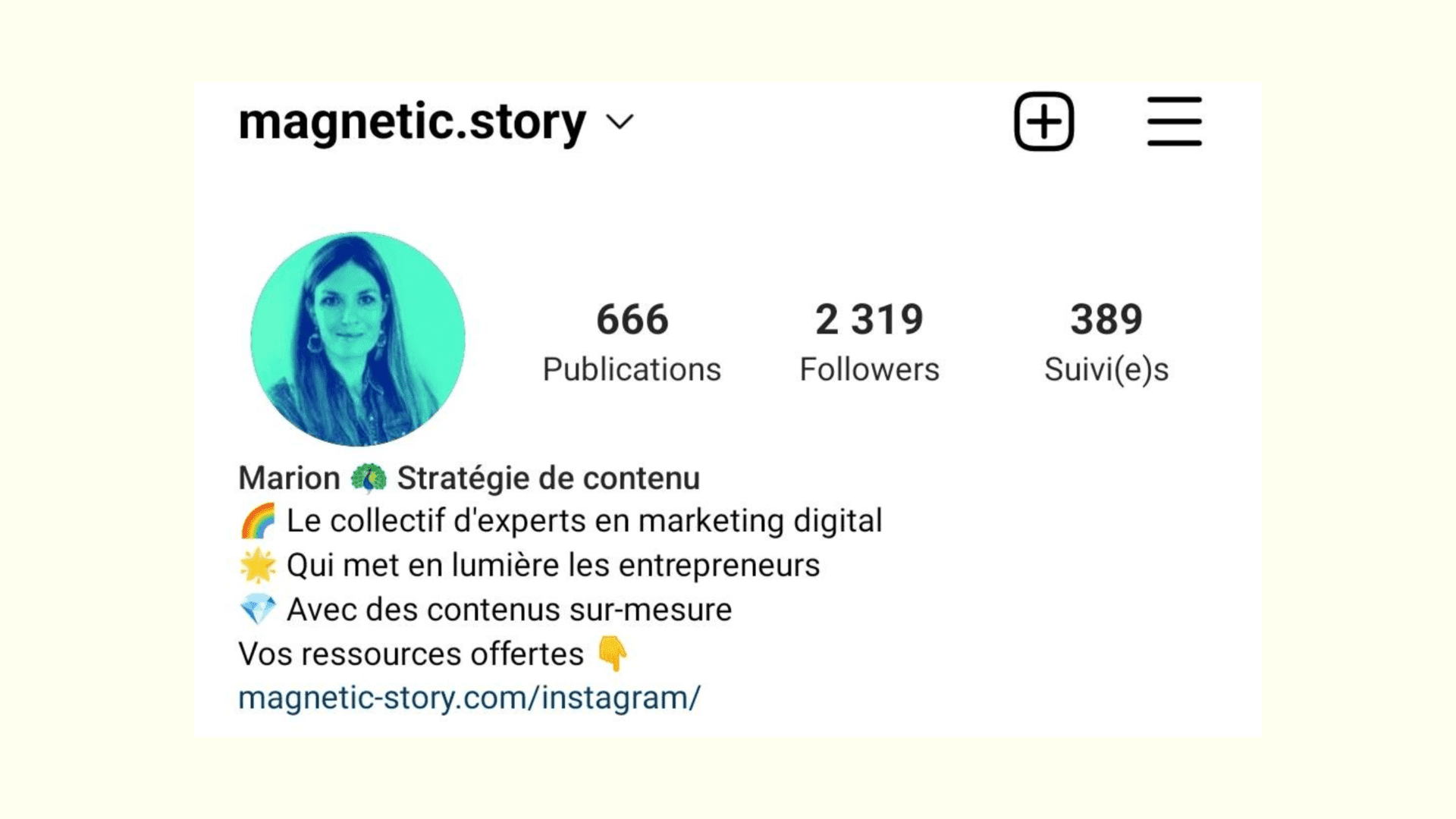 Bio Instagram de Magnetic Story
